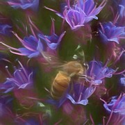 Pride of Madeira #3 Digital Art by Rebecca Herranen