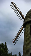 Profile of a Mindful Windmill Photograph by D Lee