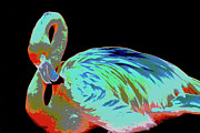 Psychedelic Flamingo 36A Photograph by Sally Fuller