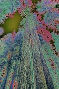 Psychedelic Forest Perspective Digital Art by Bruce Block