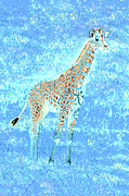 Psychedelic Giraffe 2A Photograph by Sally Fuller