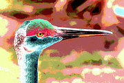 Psychedelic Sandhill Crane 58A Photograph by Sally Fuller
