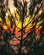 Pumpkin Slice Evening Sunset Sky Photograph by Abigail Diane Photography