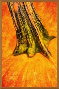 Pumpkin Stalk Painting by Juliette Becker