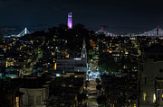 Purple Lights Photograph by Louis Raphael