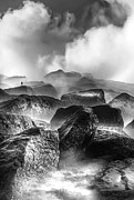 Quake Photograph by Sofie Conte