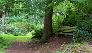 Quiet Location Photograph by Barbara Siegel