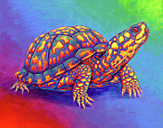 Rainbow Eastern Box Turtle Painting by Rebecca Wang