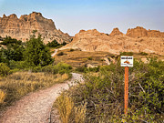 Rattlesnake Gultch Photograph by Lloyd Gillies