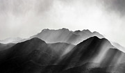 Rays of NZ Photograph by Monamifoto