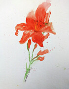Red-Orange Lily Painting by Elizabeth Reich
