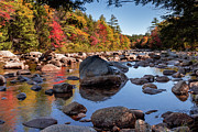 Reflections of Nature Photograph by Craig A Walker