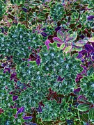 Rhododendron Digital Art by Bruce Block