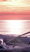 Rialto Beach Sunset, Washington Photograph by Shannon Williams