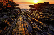 Ribbons of Gold Photograph by Jeff Sinon