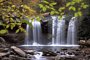 Ricketts Glen - Oneida Waterfall Photograph by Rehna George