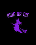 Ride or Die Witch Digital Art by Flippin Sweet Gear