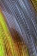River Bend Photograph by Jeff Sinon