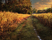 Road Home Photograph by Robert Niemeier