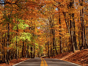 Road leading to Coopers Rock state park overlook in WV Photograph by Steven Heap