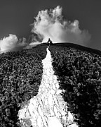 Road Of Hope Photograph by Sofie Conte