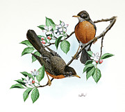 Robin and Apple Blossom Painting by Don Balke