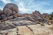 Rock Path Photograph by Alison Frank