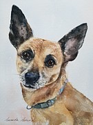 Rocky Painting by Amanda Amend