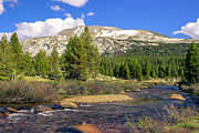 Rocky Stream With Snowy Mountain Photograph by David Fountain
