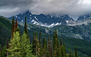 Rogers Pass Rocky Mountains Alberta Canada Photograph by Tommy Farnsworth
