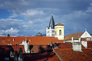 Roofs of Annecy Photograph by Steven Nelson