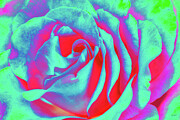 Rose close up Digital Art by Bruce Block