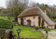 Rose Cottage Cockington Photograph by Shirley Mitchell