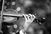 Rosin Up - Monochrome Photograph by KC Hulsman