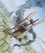 Royal Aircraft Factory S.E.5a Painting by Steve Ferguson