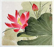 Ruby Red Lotus Flower Painting by Yu Zhizhen