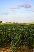 Rural Landscape Under Ethereal Skies Photograph by Travel Essayist