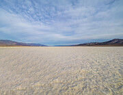 S A L T E D Photograph by Joe Schofield