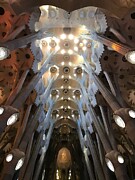 Sagrada Familia Interior with Tree Like Columns in Barcelona Spain Photograph by Travel Essayist