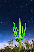 Saguaro Cactus Against Star Filled Sky in Saguaro National Park, Arizona Photograph by FeelingVegas Wall Art and Prints