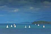 Yachts in the blue - Sailing Boats off the Island Of Mull, Scotland Photograph by Neale And Judith Clark