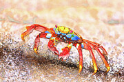 Sally Lightfoot Crab Digital Art by Bruce Block