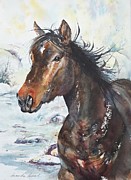 Salt River Stallion Painting by Amanda Amend