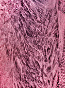 Sand pattern formed by flowing water Digital Art by Bruce Block