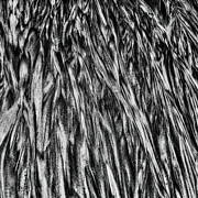 Sand patterns - #2 Photograph by Bruce Block