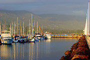 Santa Barbara Harbor Photograph by Barbara Siegel