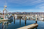 Santa Barbara Harbor Photograph by Kelley King