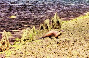 Sea Otter Digital Art by Bruce Block