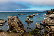 Sea Stacks at Dinosaur Caves Park Photograph by Ed Clark