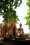 Seated Buddha and Lush Foliage Photograph by Travel Essayist